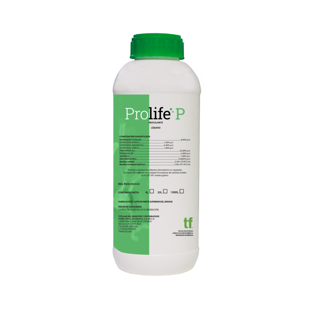 PROLIFE P | TF